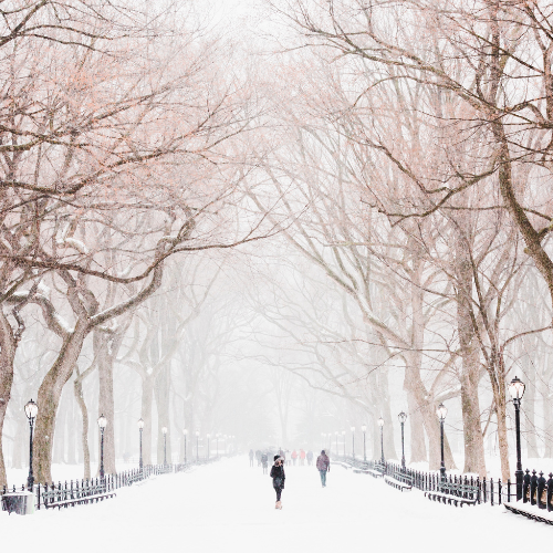 The Winter Collection